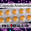 Cápsula Anaconda levitra1